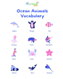 Beach Vocabulary Photo_Sing and Speak 4 Kids