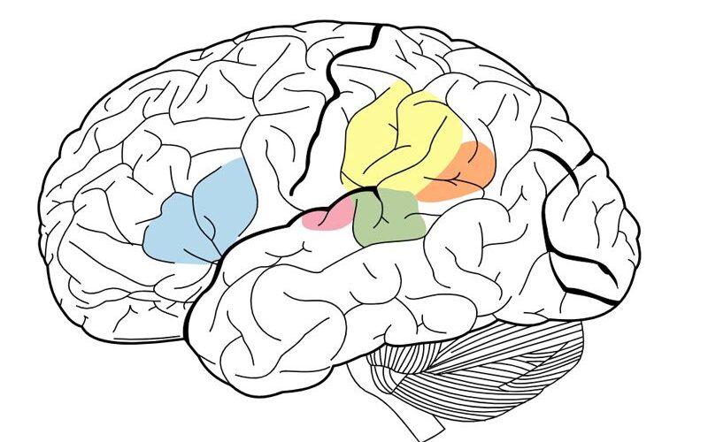 What Causes Speech and Communication Issues?_Sing and Speak 4 Kids