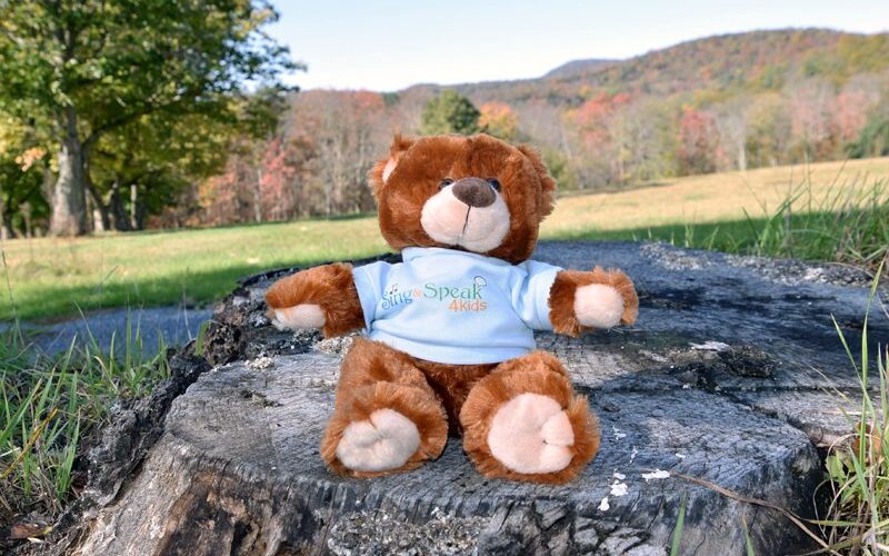 Brown Bear Mascot_Sing and Speak 4 Kids