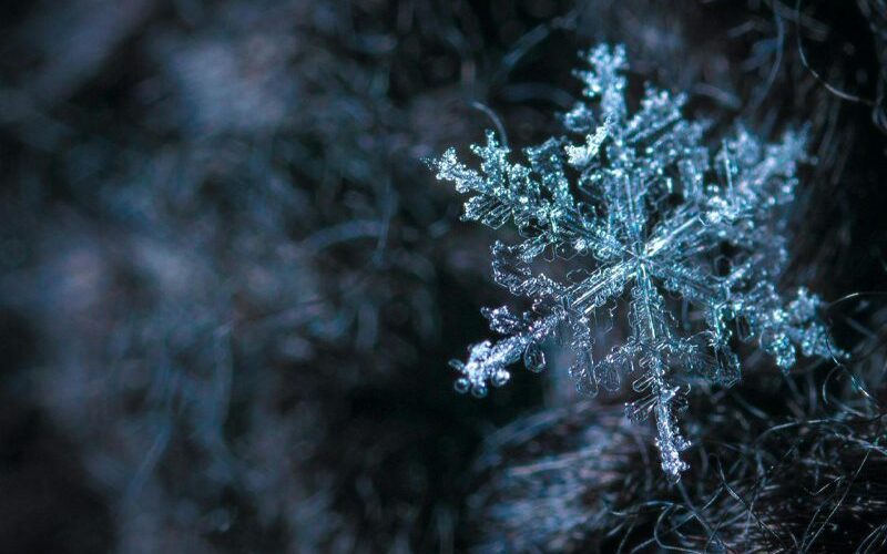 Winter Activities for Your Elementary School Classrooms _Sing and Speak 4 Kids