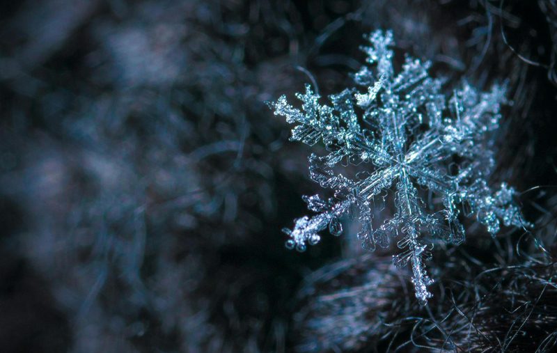 Winter Activities for Your Elementary School Classrooms