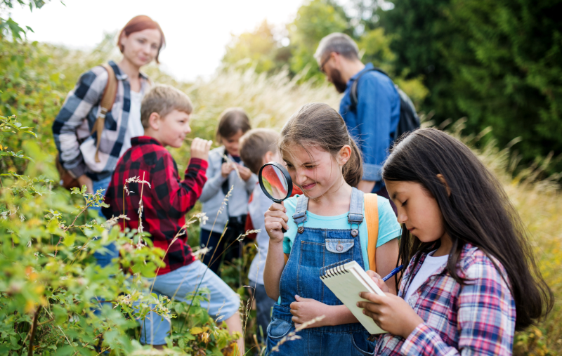 Exciting Springtime Activities for Your Classroom