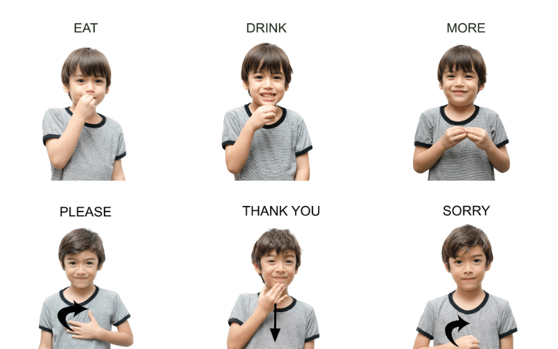 Visual chart showing 6 simple American Sign Language (ASL) signs for children, including meat, drink, more, please, thank you, sorry.
