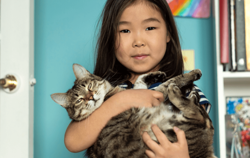 sing-and-speak-4-kids-family-pets-cat